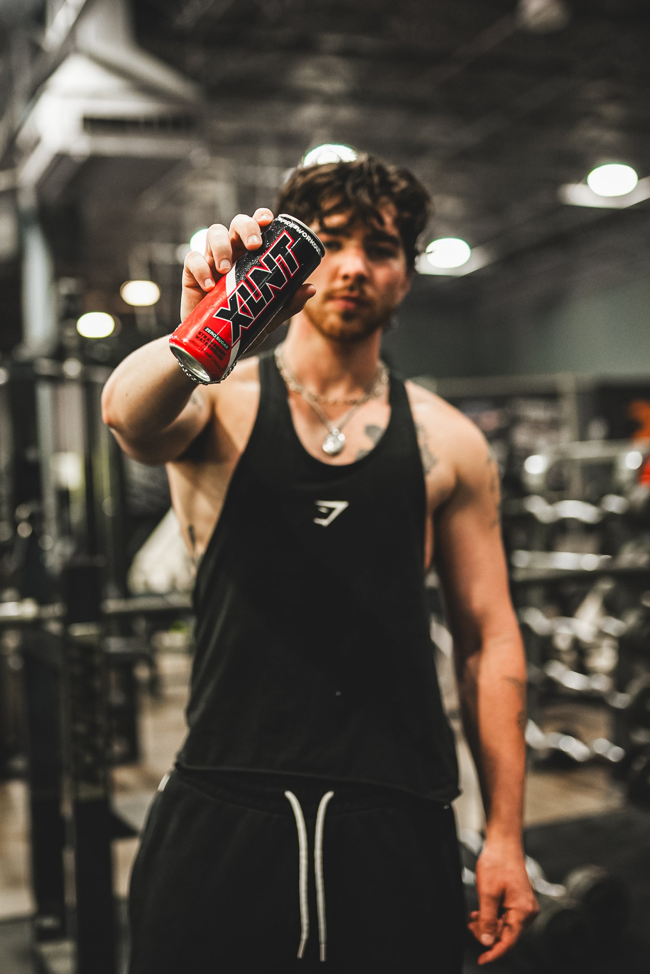 XLNT Supps Best RTD Pre Workout and Energy Drinks