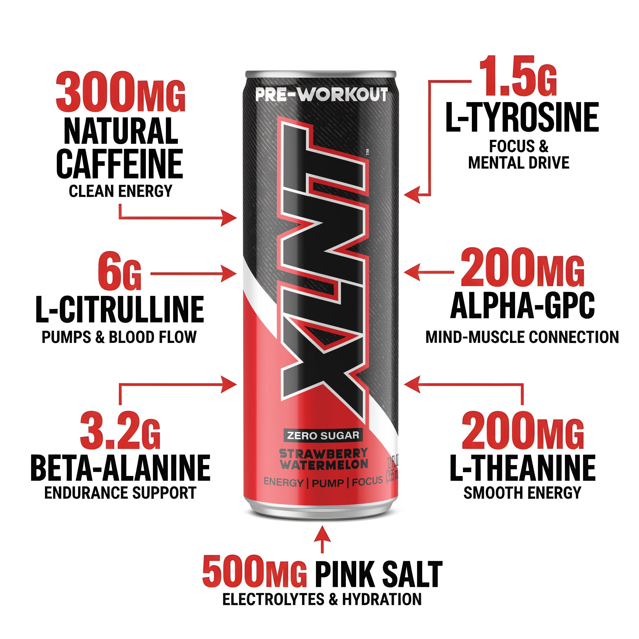 7 Core benefits of XLNT clinically dosed carbonated pre workout