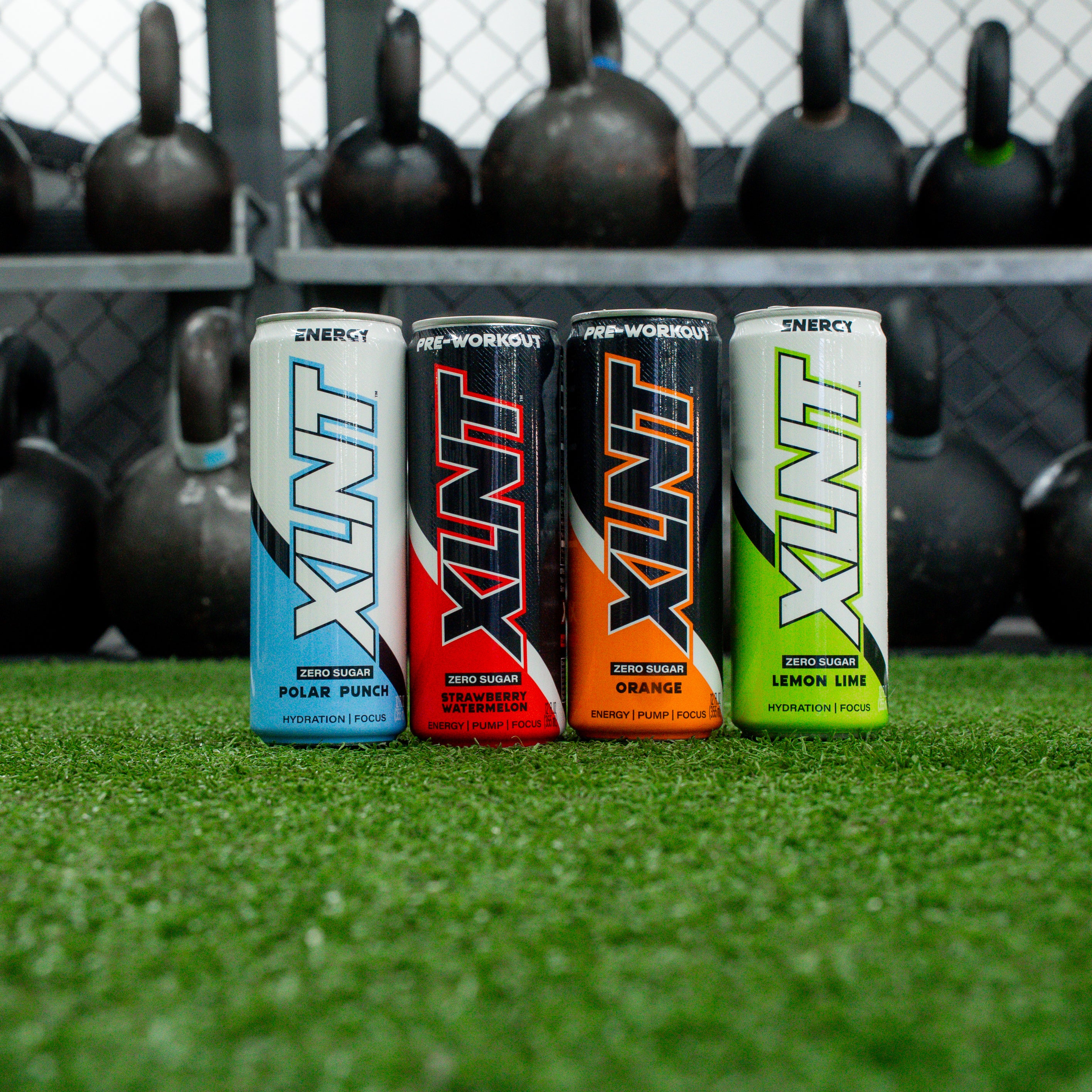 XLNT Variety Pack