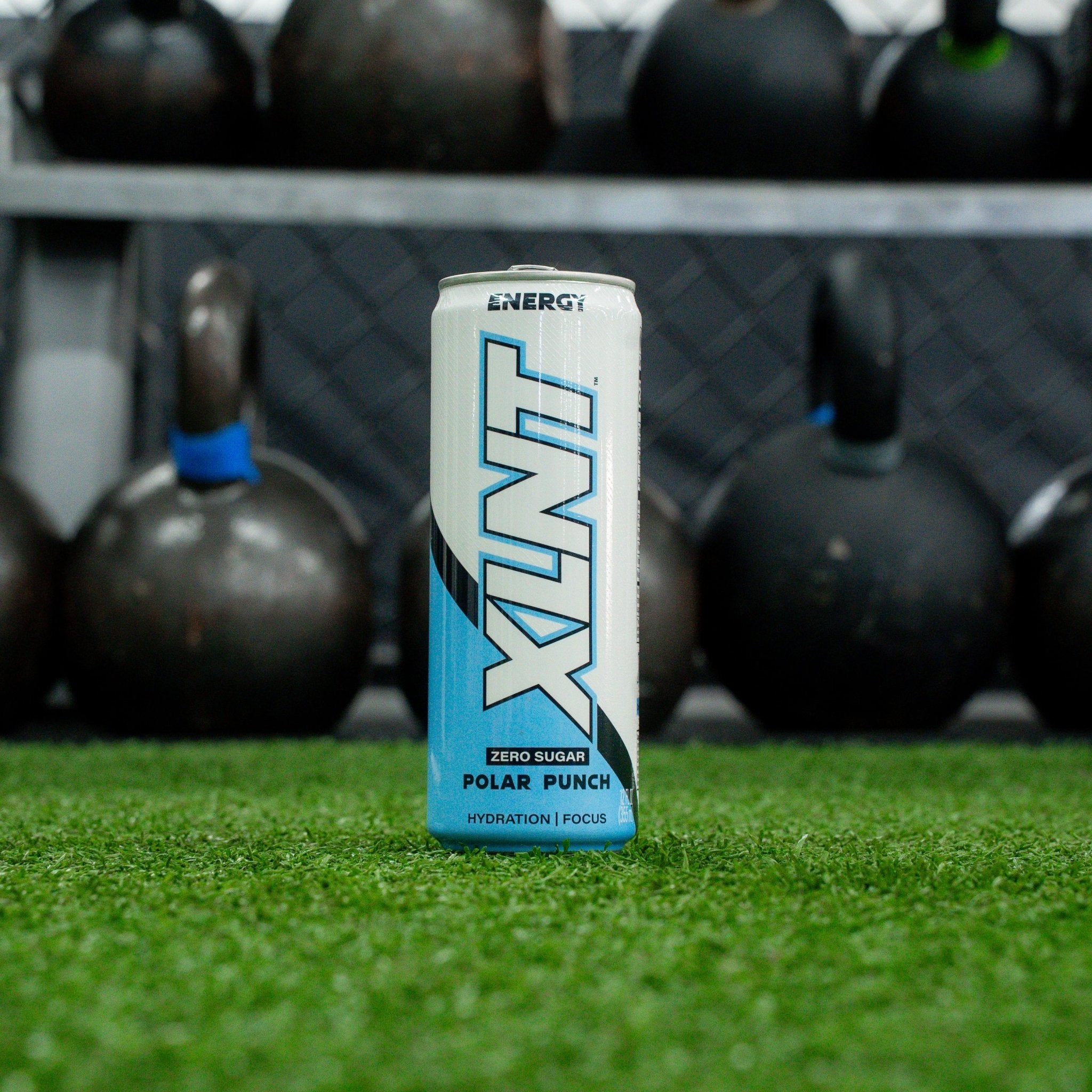 XLNT Energy Drink - XLNT Supps